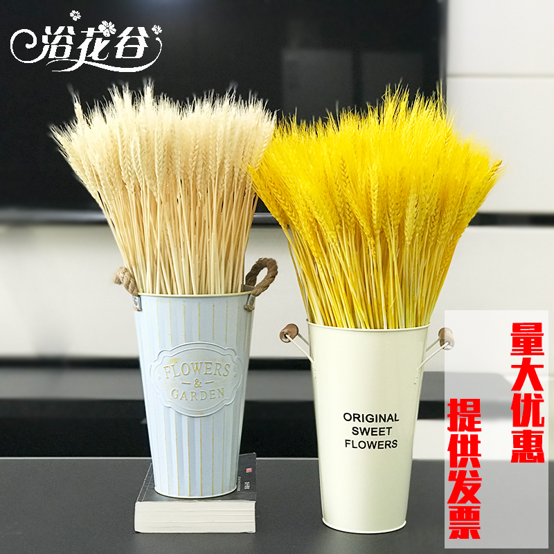 整箱批发麦穗干花浴花谷量大优惠