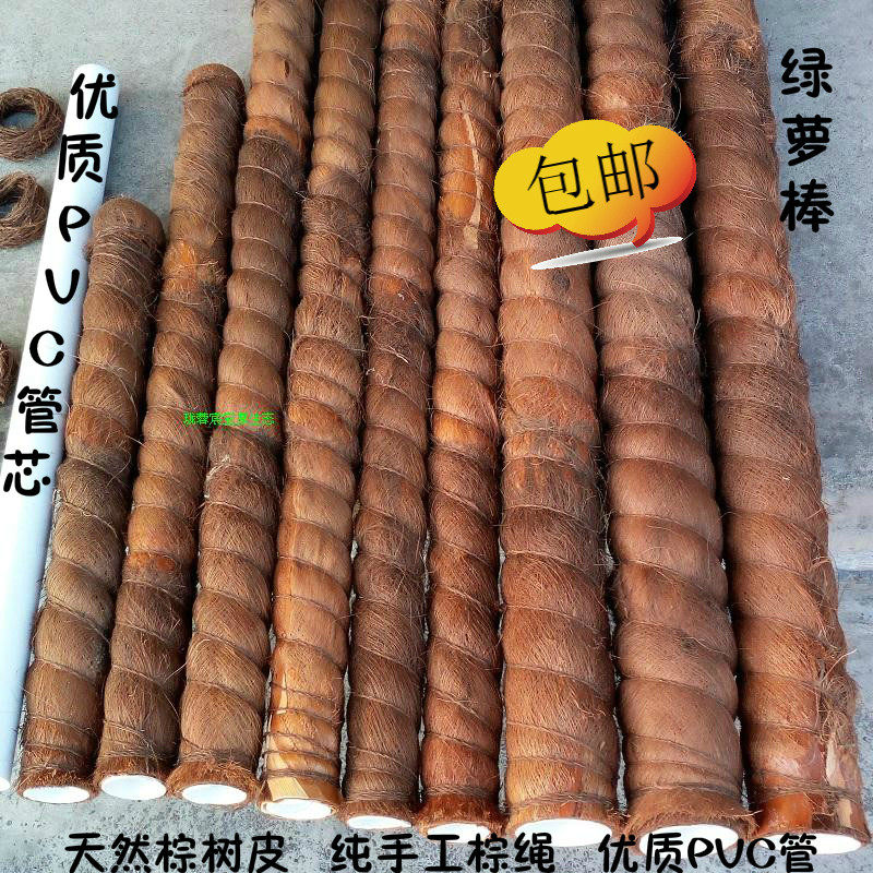 绿萝爬藤棕柱椰棕棒攀爬架植物支撑棍龟背竹支撑杆固定架pvc包邮,鲜花速递/花卉仿真/绿植园艺,其它园艺用品,淘宝优惠券,粉丝福利购,淘宝优惠卷