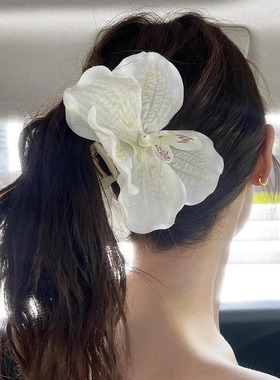 正确版！欧阳娜娜同款白色花朵抓夹头花大号后脑勺盘发马尾鲨鱼夹