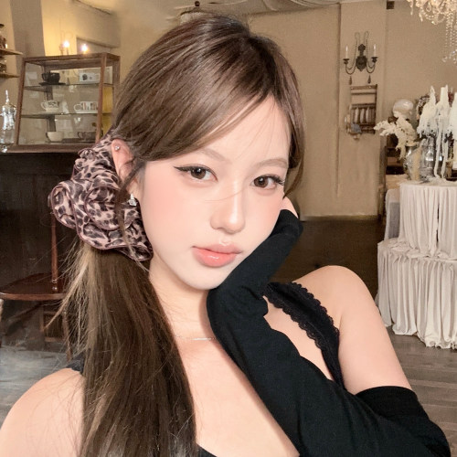 小野美奈韩系双层豹纹发圈