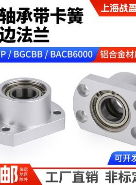 双切边法兰带扣环双轴承铝合金材质BACB6000 BGCBB BFP轴承座组件