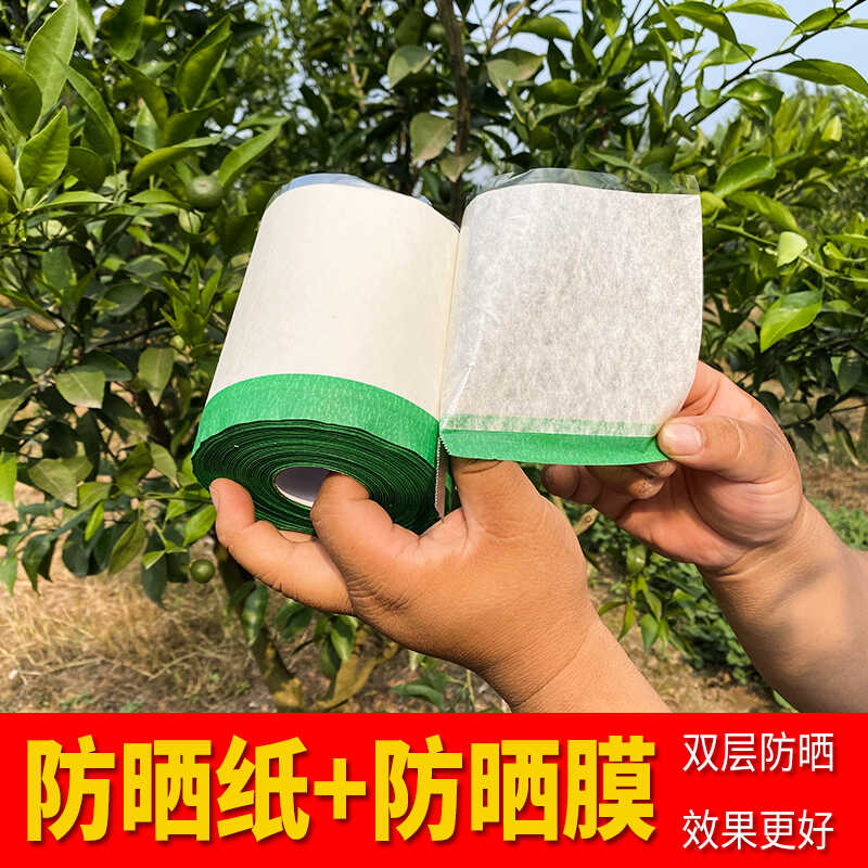 遮阳神器柑橘防晒果树管理