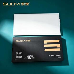 索蚁照明灯集成吊顶led平板灯30x60办公室铝扣矿棉板嵌入式工程灯