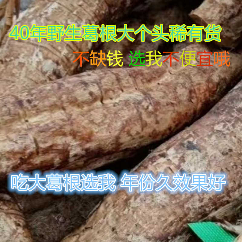 正宗40年20斤野生柴葛根现挖老葛根纯天然新鲜湿葛根整个稀有