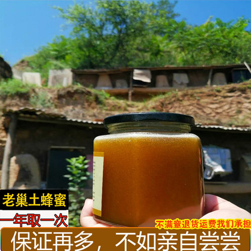蜜糖2026甘肃农家自产百花