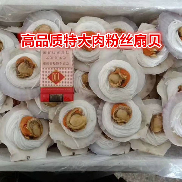 粉丝扇贝半壳蒜蓉100只个海鲜