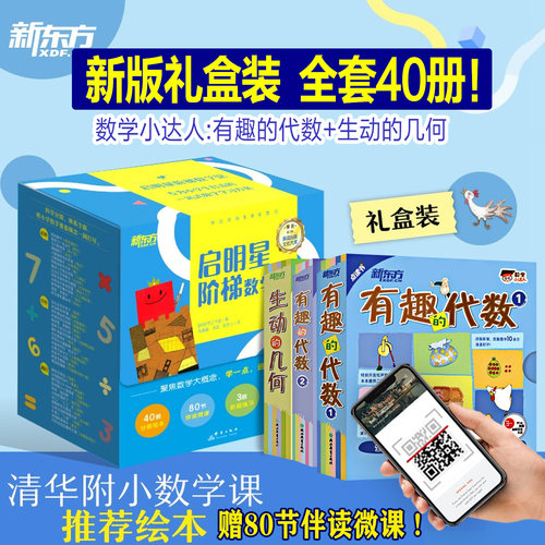礼盒版全套40册赠课 数学小达人：有趣的代数1+有趣的代数2+生动的几何启明星阶梯数学馆小学数学基础思维绘本专项练习新东方童书