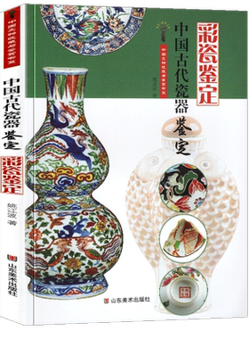 正版包邮 彩瓷鉴定 中国古代瓷器鉴定 中国文物收藏与鉴赏书系 姚江波著 艺术鉴赏收藏彩瓷文物考古价值判断保养明清彩釉红青花釉