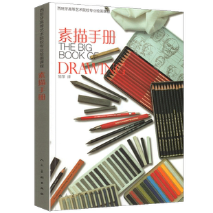 正版 素描手册 西班牙高等艺术院校专业绘画课程系列 高校美术专业教材案例示范素描速写技法大师级水墨素描色彩炭笔素描 人民美术