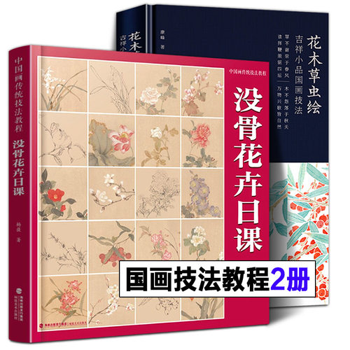 基础入门 视频教学 如师在侧