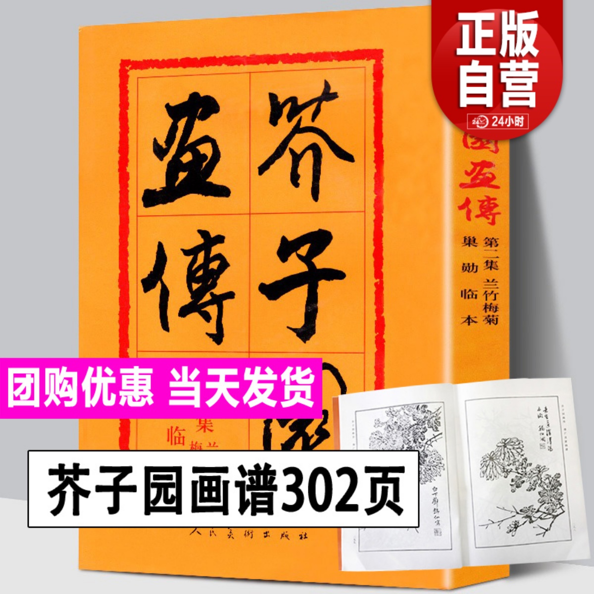 【正版308页】芥子园画传集兰竹梅菊巢勋临本 芥子园画谱 中国画毛笔写形构图基本技法绘画学习美术专业教程书传世画谱 人美 书籍/杂志/报纸 工艺美术（新） 原图主图