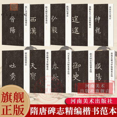 新出隋唐碑志精编7本 隋大将军杨素墓志/颜勤礼夫人殷懿姬墓志/颜真卿书李梗墓志等楷书书法学习者临摹和欣赏范本河南美术出版社