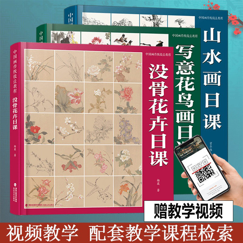 视频教学 中国画传统技法教程3册 没骨花卉日课/山水画日课/写意花鸟