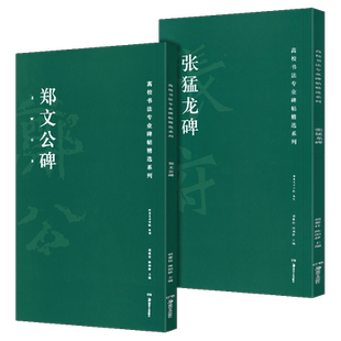 全2册 郑文公碑+张猛龙碑 高校书法专业碑帖精选系列历代精品碑帖 传世书法经典碑帖全套临摹本 原碑帖拓本字贴经典碑帖书法教程书