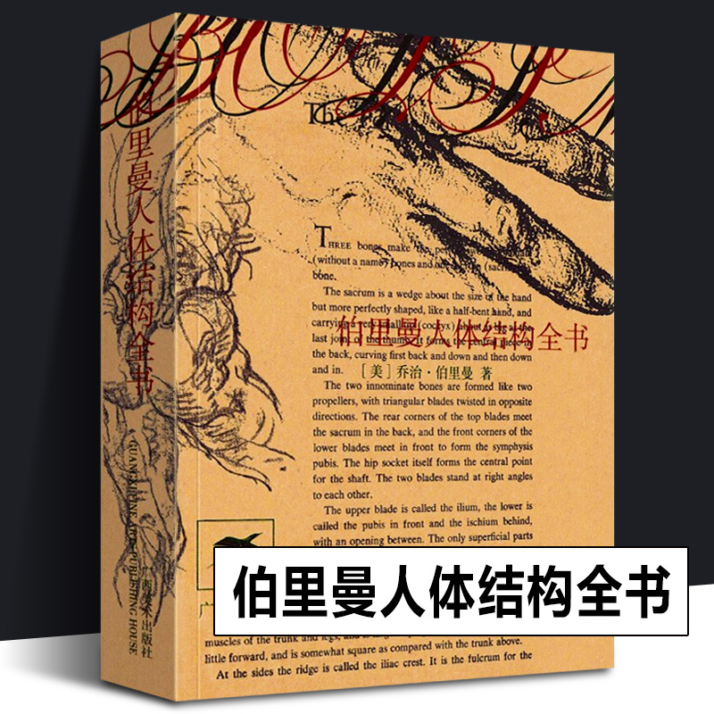 伯里曼人体结构全书袖珍版