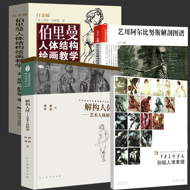 全4册 解构人体-艺术人体解剖+阿尔比努斯解剖图谱+孙韬人体素描+伯里曼人体结构绘画教学教程艺用人体结构教学中央美术学院教材书