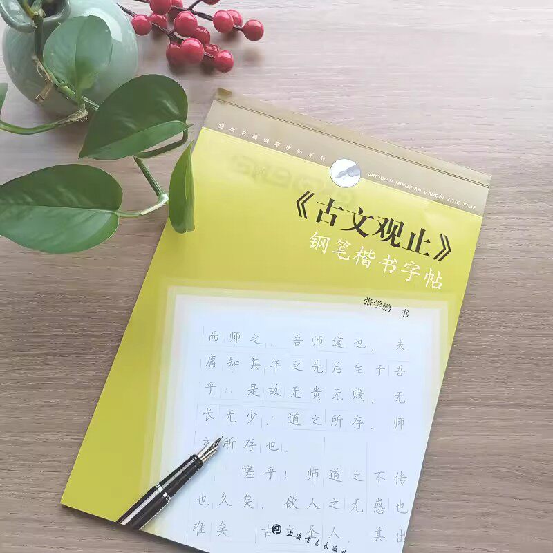 【正版包邮】古文观止经典名篇钢笔字帖系列钢笔楷书字帖 上海书画出版社使用感如何?