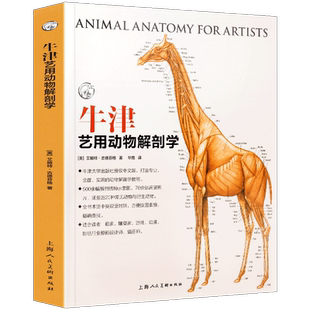 牛津艺用动物解剖学 艺术院校师生美术绘画家游戏动漫影视设计原画插画实用动物造型结构骨骼肌肉解剖绘画技法艺考教程学 上海人美