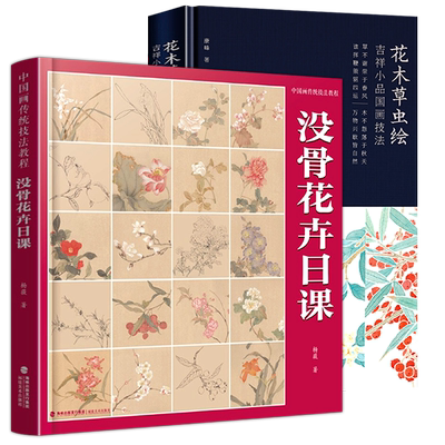 【附教学视频】没骨花卉日课+花木草虫绘吉祥小品国画技法 国画没骨花鸟画技法教程底稿末芥绿著工笔国画写意教程书籍临摹画法画册