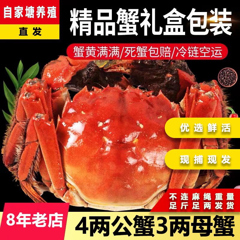 现货大闸蟹鲜活水产特大螃蟹4两公蟹3两母蟹8只礼盒装包邮