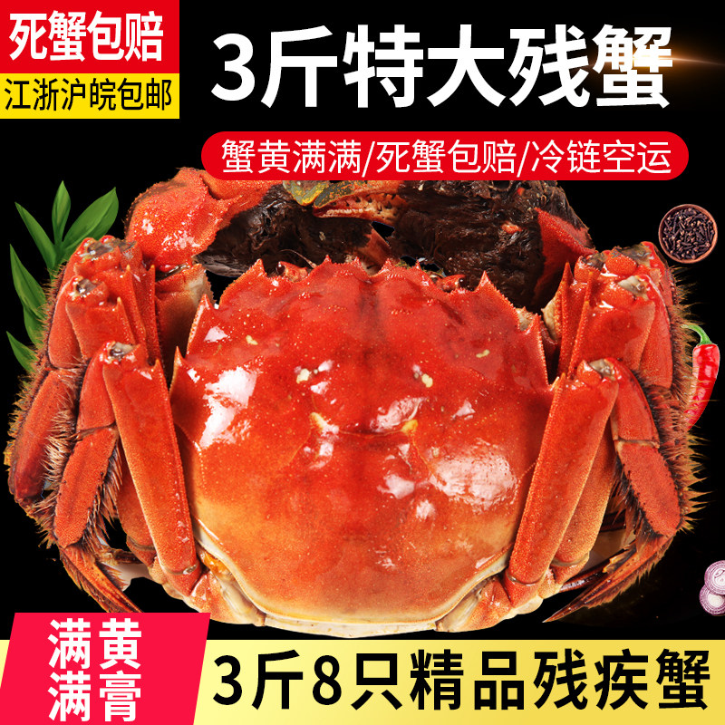 超大3斤公蟹 残蟹残疾蟹残掉腿大闸蟹