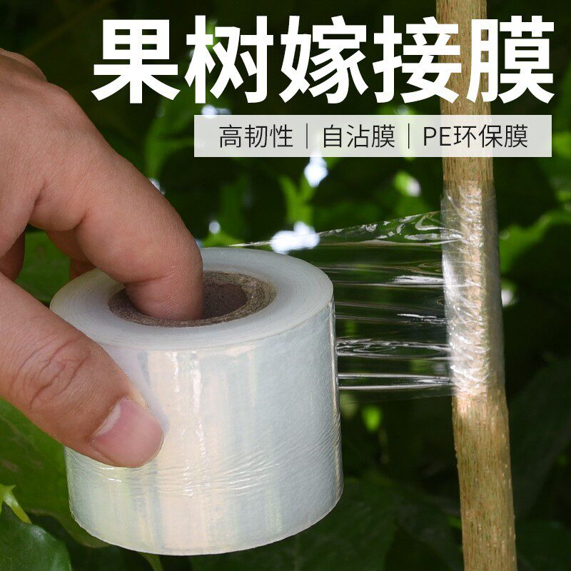 嫁接膜自粘式无需打结专用膜果树绑带包扎带缠绕膜免拆塑料PE苗木
