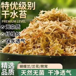 干苔藓水苔青苔兰花蝴蝶兰石斛种植专用营养土植料乌龟水台