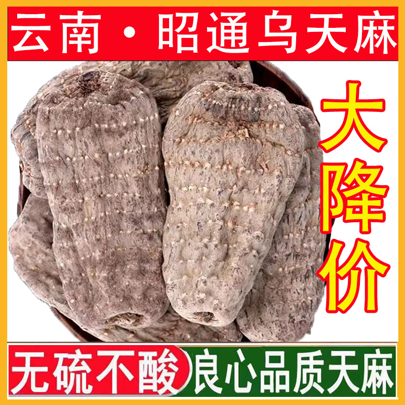 云南昭通乌天麻500克测试推荐