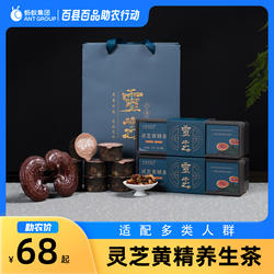 龙明宝正宗龙泉灵芝黄精茶养生茶正品