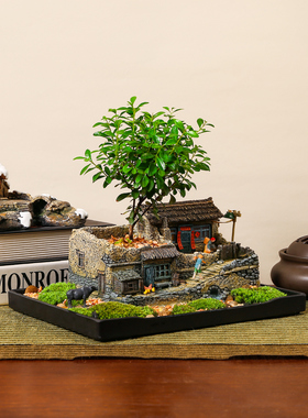 中国风小盆景摆件办公室内客厅花架装饰品解压桌面苔藓微景观造景