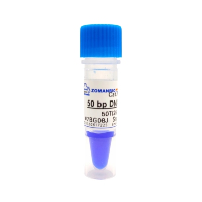 50bp DNA Ladder DNA Marker