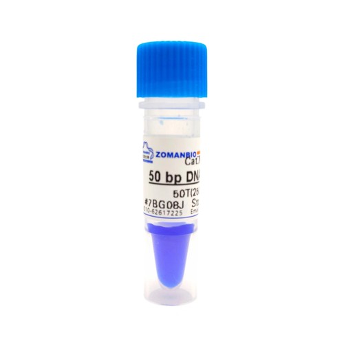 50bp DNA Ladder DNA Marker