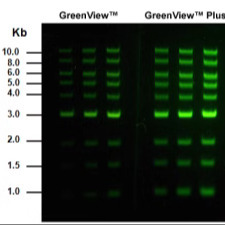 GelGreen ExGreen核酸染料 10000×DMSO ExGreen plus EB替代物