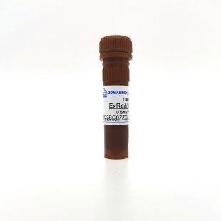GelRed ExRed核酸染料10000×水溶 EB替代物无毒性花青素条带特亮