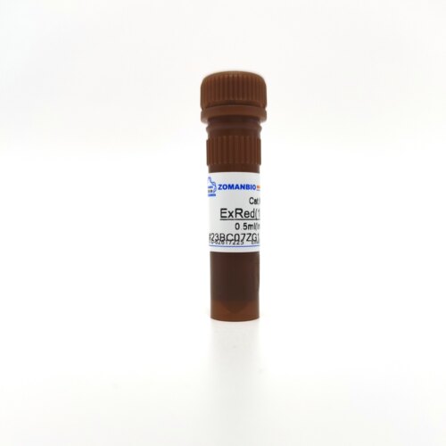 GelRed ExRed核酸染料10000×水溶 EB替代物无毒性花青素条带特亮