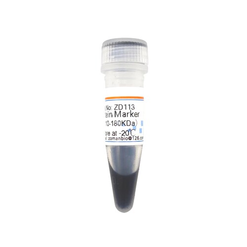 彩色预染中分子量蛋白Marker 10-180KDa