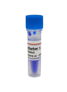 DNA Marker IV DNA Ladder DNA分子量标准