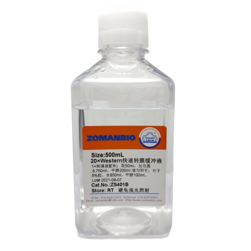 20×Western超快转膜缓冲液 30min转膜（电转液）