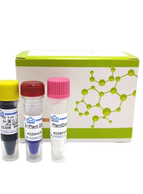 教学用PCR试剂盒 PCR教学试剂盒 带800bp片段模板引物一站式