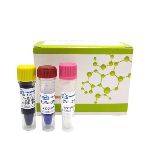 教学用PCR试剂盒 PCR教学试剂盒 带800bp片段模板引物一站式