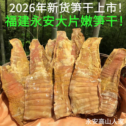 笋干干货福建闽笋干500克压榨笋尖永安农家毛竹明前大片嫩烤笋干