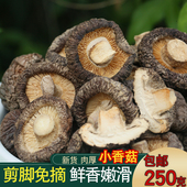 贵州特产新货干香菇农家小香菇菌菇椴木冬菇金钱菇250克 包邮