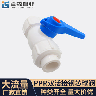 厂家批发PPR全塑球阀双活接钢芯球阀ppr铜芯阀门球阀塑料阀门
