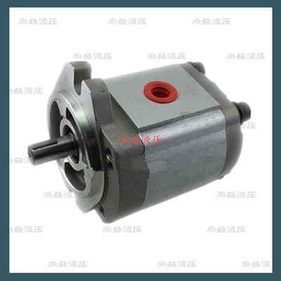 台湾KOMPASS康百世齿轮泵P216RP P219RP P222R P225RP P233RP01DT