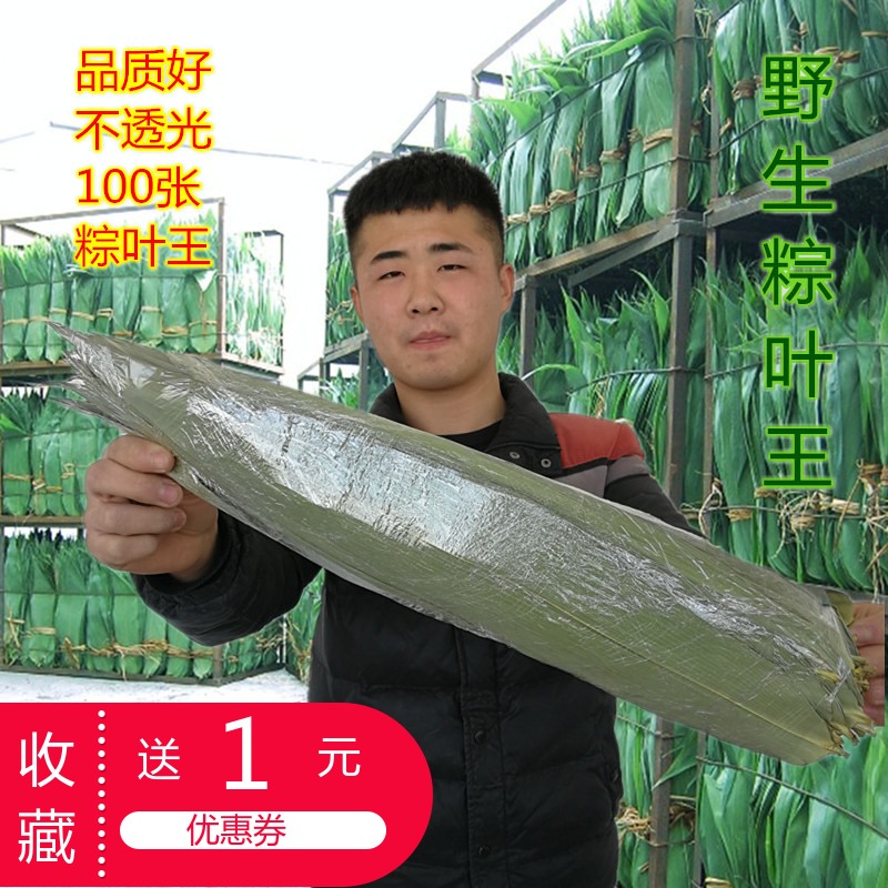 干粽叶包粽子的大粽子叶新鲜纯天然粽叶干粽子叶100张竹棕叶包邮