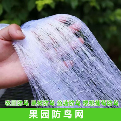果树防鸟网尼龙材质抗老化防小鸟