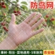 尼龙防鸟网果园樱桃树大棚防鸟果园拦鸟网果树防鸟专用抗老化耐用