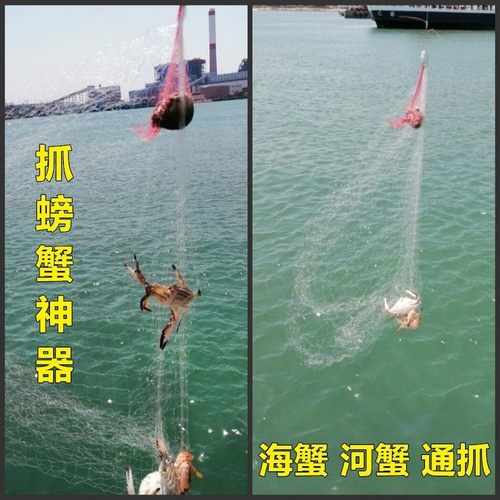 新款钓螃蟹神器海用赶海粘网渔具