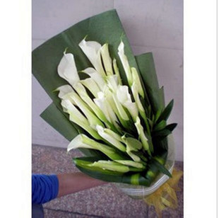 杭州鲜花速递生日马蹄莲萧山下沙滨江余杭留下五常三墩同城配送