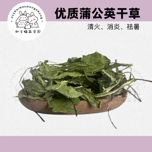 [1箱包邮]  25年新 烘干蒲公英兔兔龙猫消暑去火净重500g/箱零食